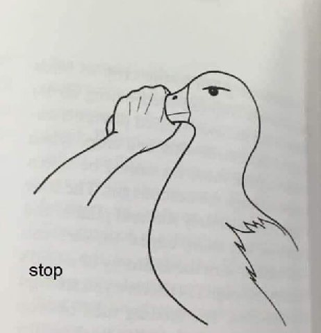 stop