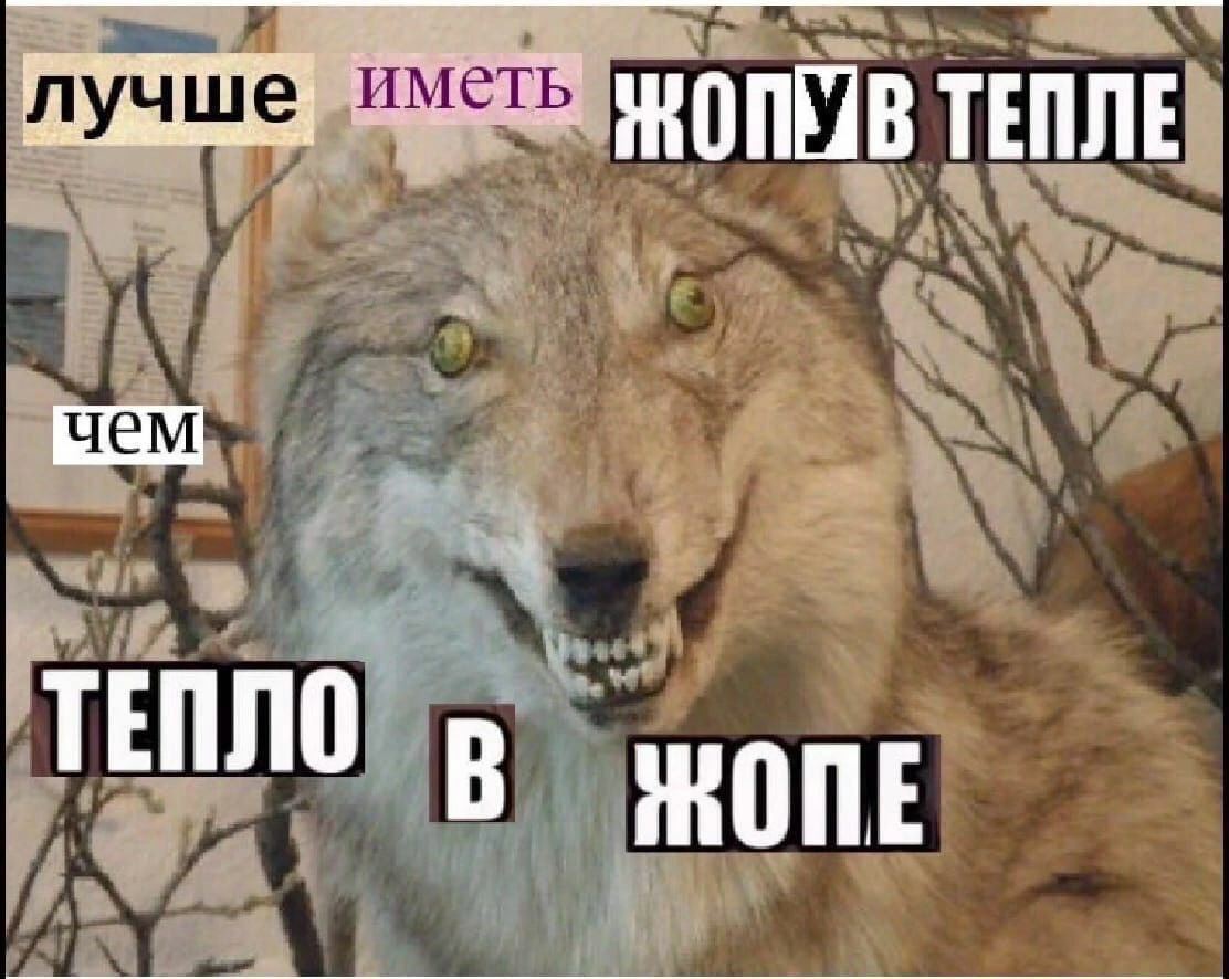 луч иметь 4a" ТЕПЛО ЖОПЕ