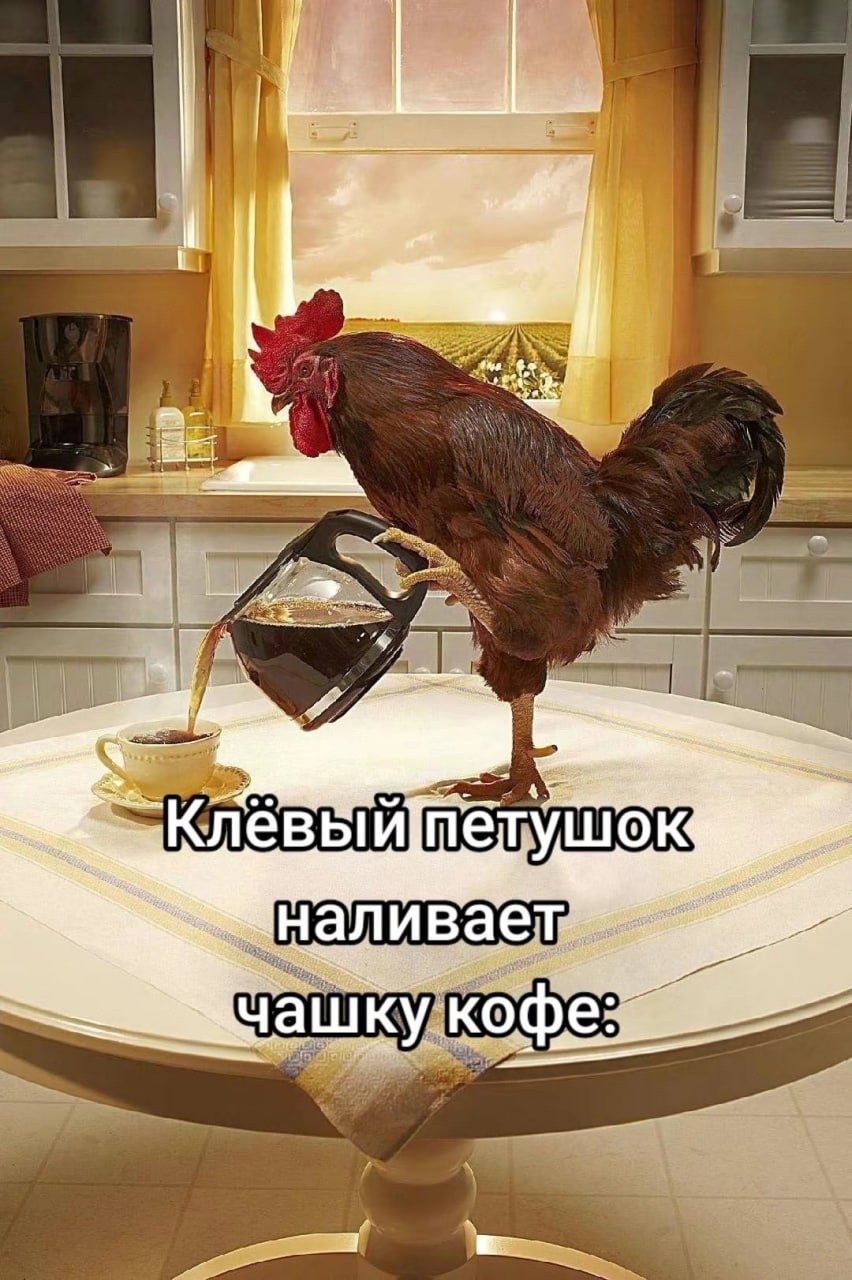 4 be 4, i} евый петушок кофе