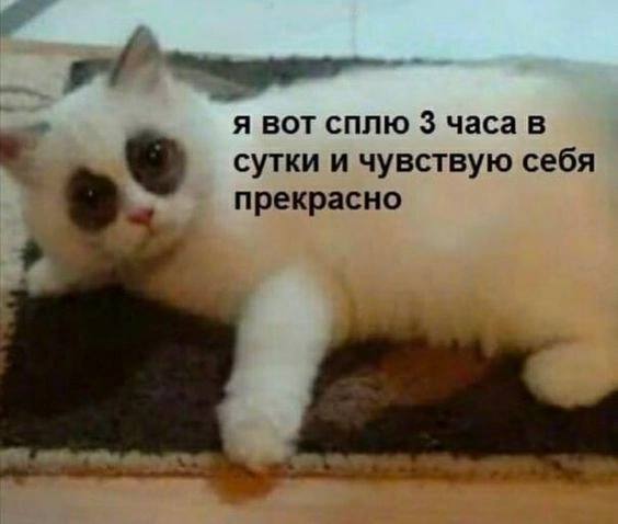 я вот сплю 3 часа в сутки и чувствую себя прекрасно