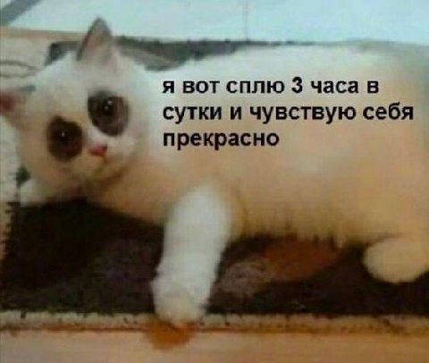 я вот сплю 3 часа в сутки и чувствую себя прекрасно