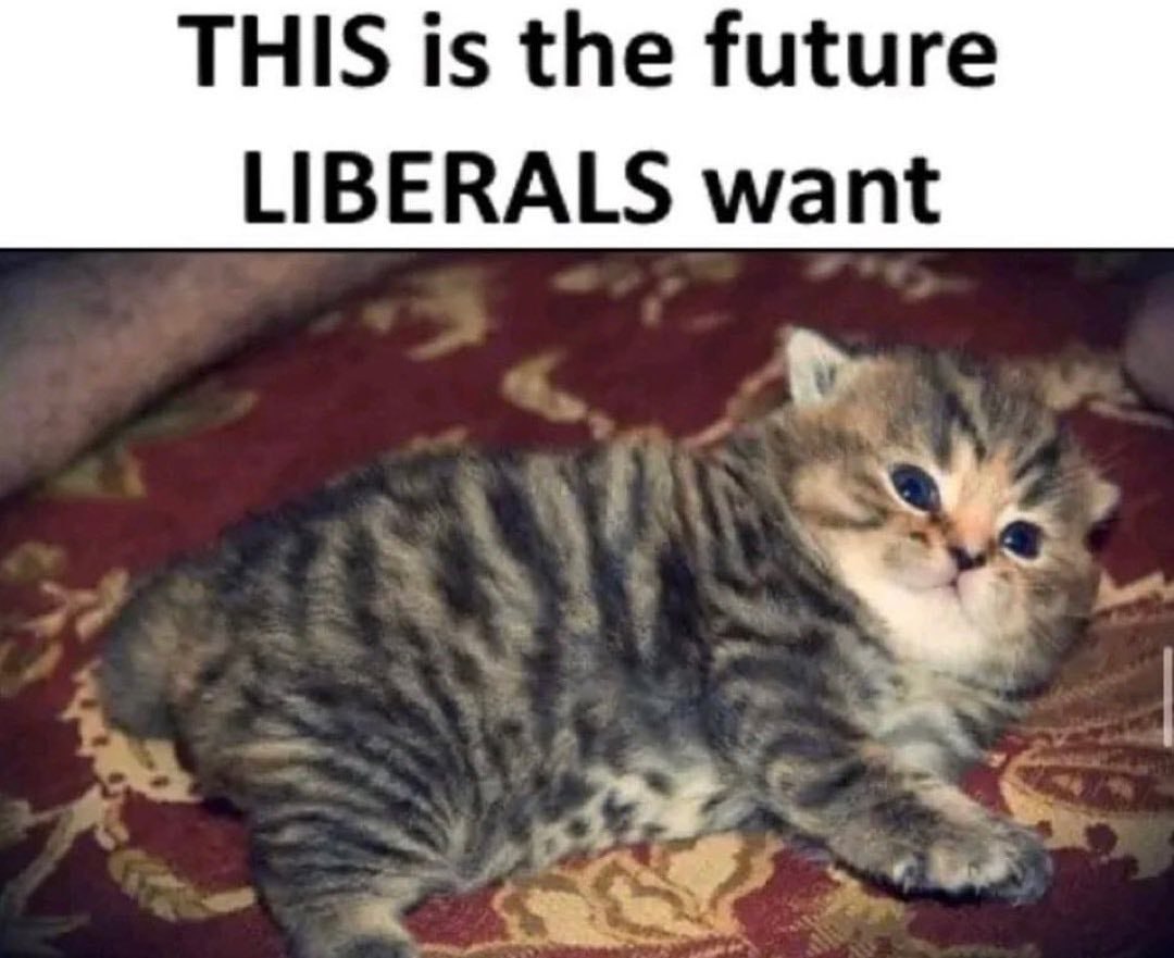 THIS is the future LIBERALS want