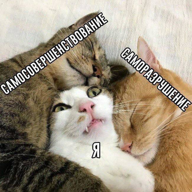 AS) i я 4 a 2 4 3 К