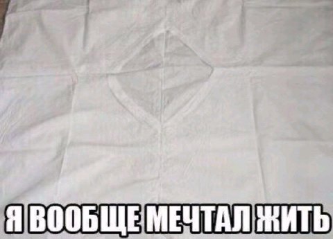 Я ВООБЩЕМЕЧТАЛ ЖИТЬ