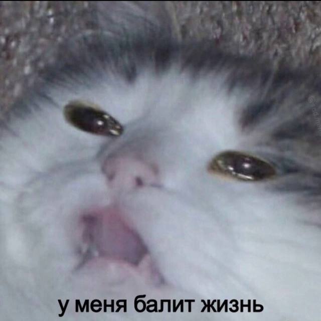 mood