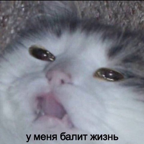 mood