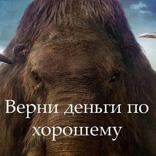 Верни деньги по хорошему
