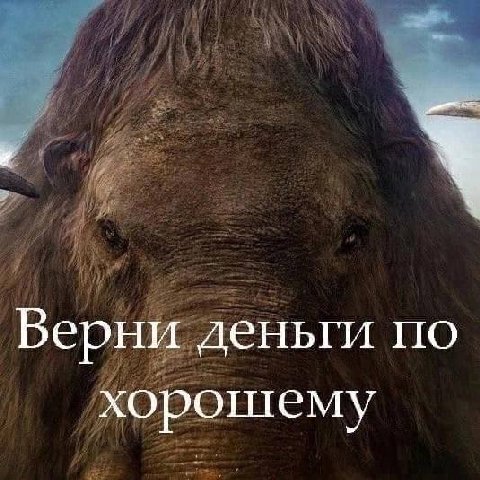 Верни деньги по хорошему