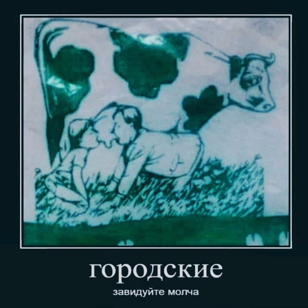 городские завидуйте молча