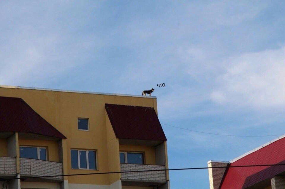 что