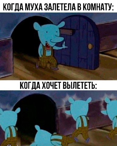 КОГДА МУХА ЗАЛЕТЕЛА В КОМНАТУ: КОГДА ХОЧЕТ ВЫЛЕТЕТЬ: