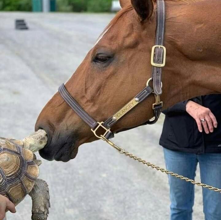 (1 4 i, у