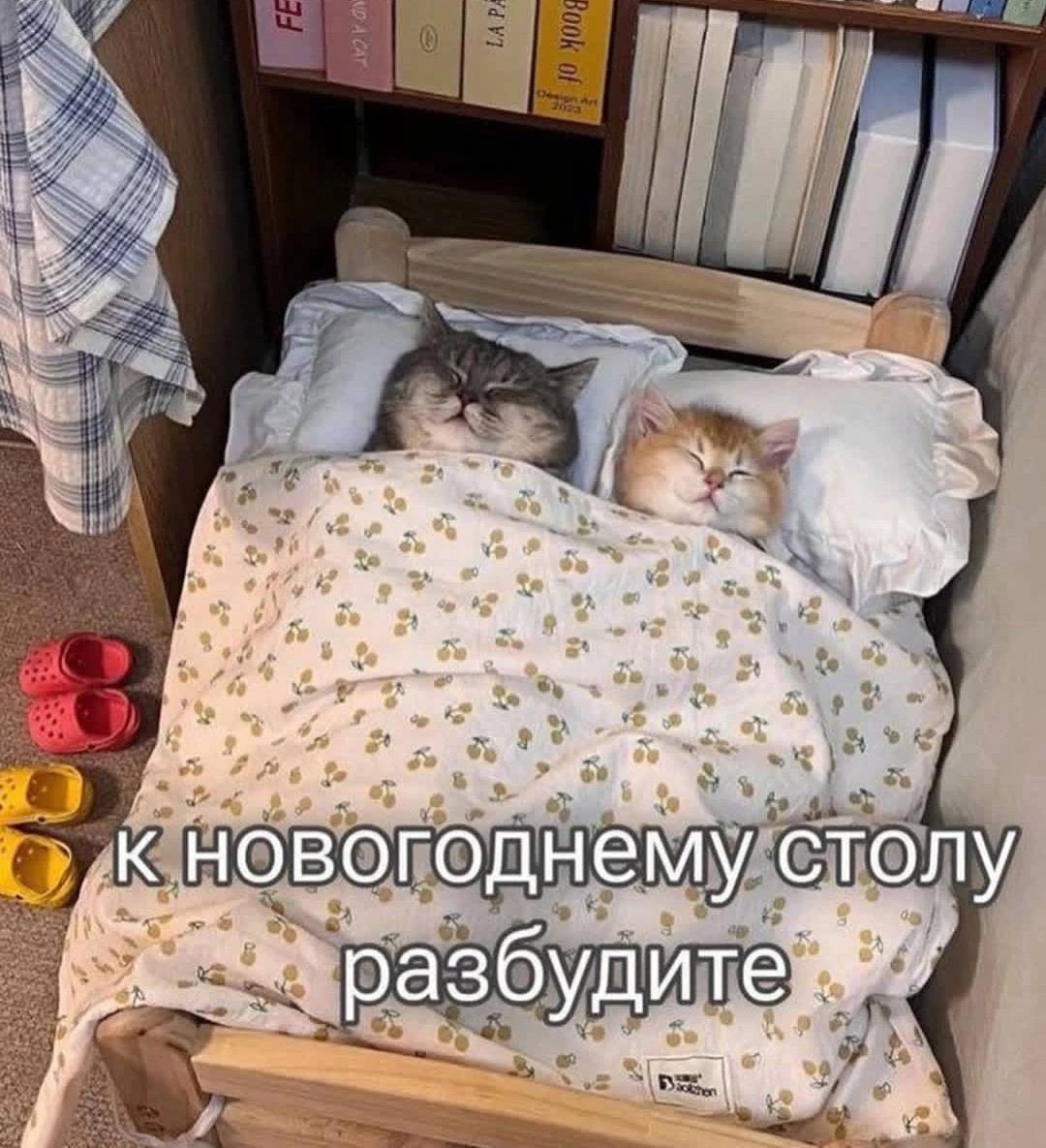 7 к. in. in ‚К новогоднему столу разбудите