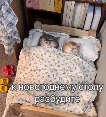 7 к. in. in ‚К новогоднему столу разбудите