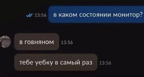 в каком состоянии монитор? В ГОВНЯНОМ тебе уебку в самый раз