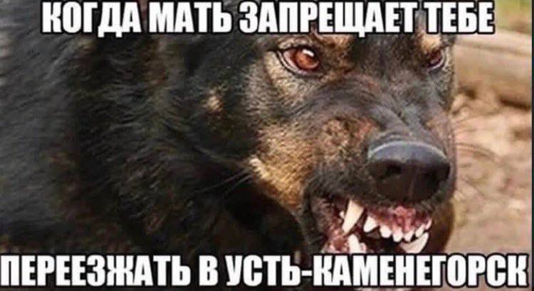 КОГДА МАТЬ ЗАПРЕЩАЕТ ТЕБЕ ПЕРЕЕЗЖАТЬ В УСТЬ- КАМЕНЕГОРСК