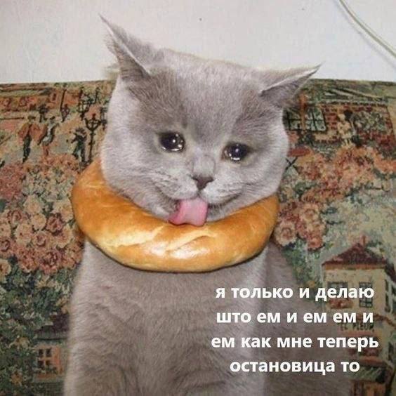 и я только и делаю што иемеми как мне теперь остановица то