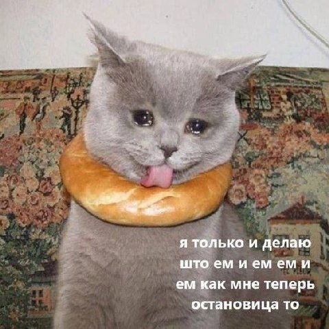 и я только и делаю што иемеми как мне теперь остановица то