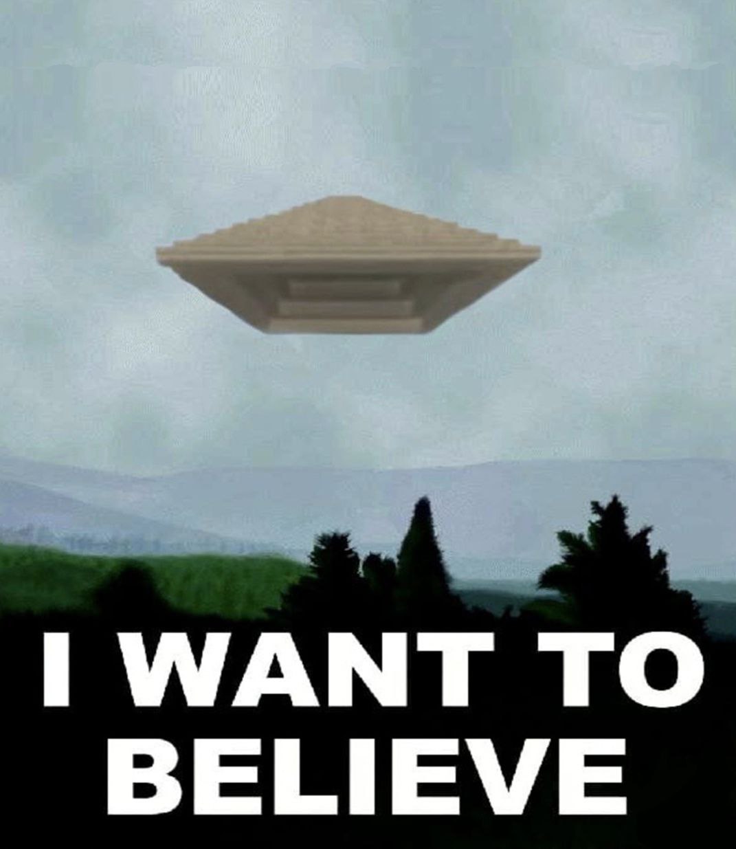 WANT TO BELIEVE