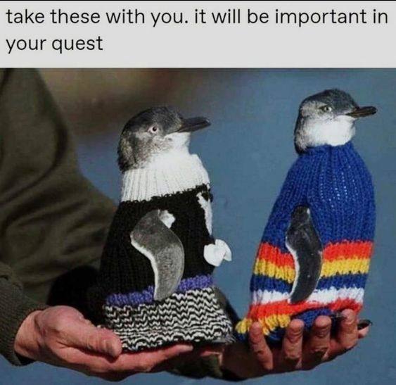 take these with you. it will be important in your quest