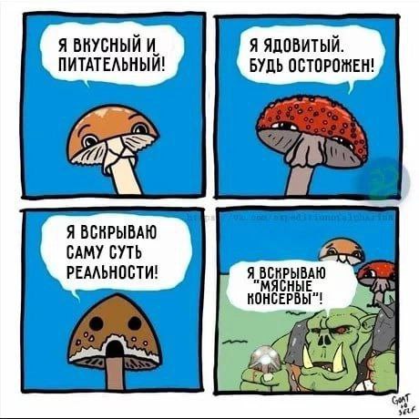 Я И. Я ЯДОВИТЫЙ. ПИТАТЕЛЬНЫЙ! БУДЬ ОСТОРОЖЕН! Я CAMY CYTb РЕАЛЬНОСТИ! Я ВСКРЫВАЮ "МЯСНЫЕ
