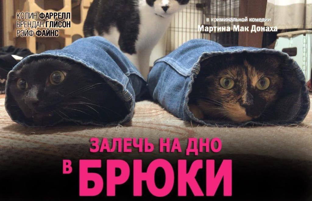 у Wit A в криминальной комедии артина Мак