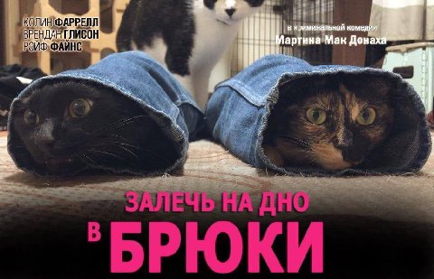 у Wit A в криминальной комедии артина Мак