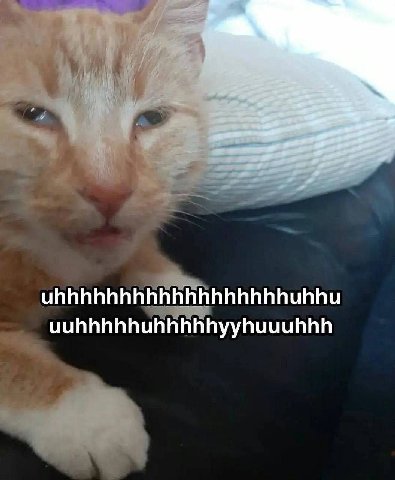uhhhhhhhhhhhhhhhhhhuhhu uuhhhhhuhhhhhyyhuuuhhh