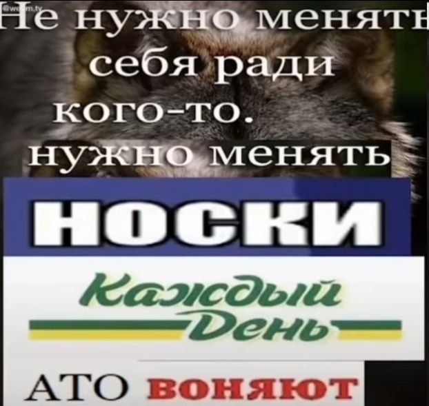 Кого-то. ATO воняют