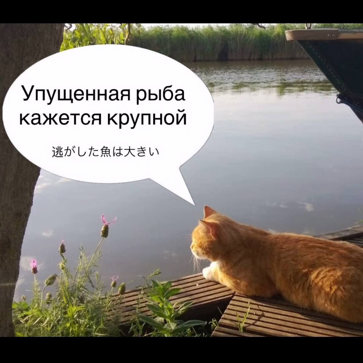 Упущенная рыба кажется крупной