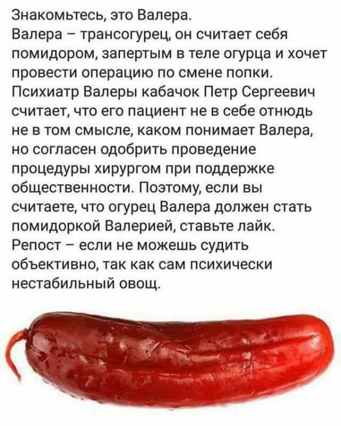 Знакомьтесь, это Валера. Валера трансогурец, он считает себя помидором, запертым в теле огурца и хочет провести операцию по смене попки. Психиатр Валеры кабачок Петр Сергеевич считает, что его пациент