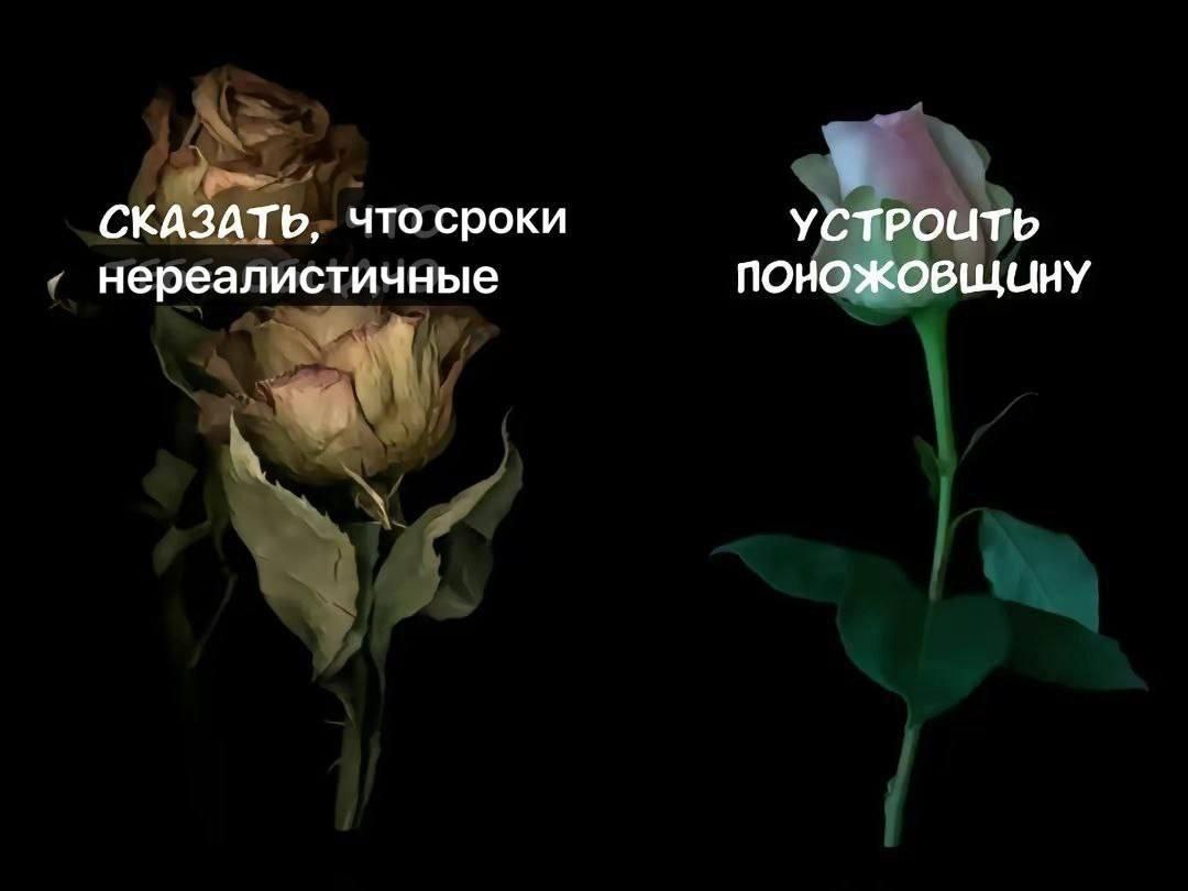 СКАЗАТЬ, что сроки УСТРОИТЬ нереалистичные ПОНОЖОВЩИНУ