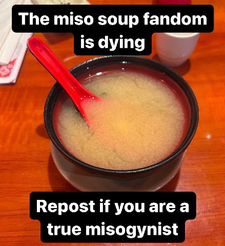 The miso soup fandom 15 dying Repost if you area true misogynist