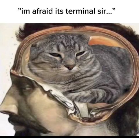 afraid its terminal sir...”