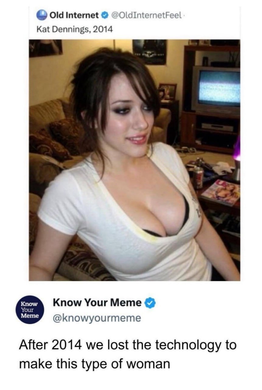 Old Internet @OldInternetFeel Kat Dennings, 2014 Know Your Meme @knowyourmeme After 2014 we lost the technology to make this type of woman