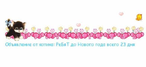 Ore Объявление от котика: РеБяТ до Нового года всего 23 дня