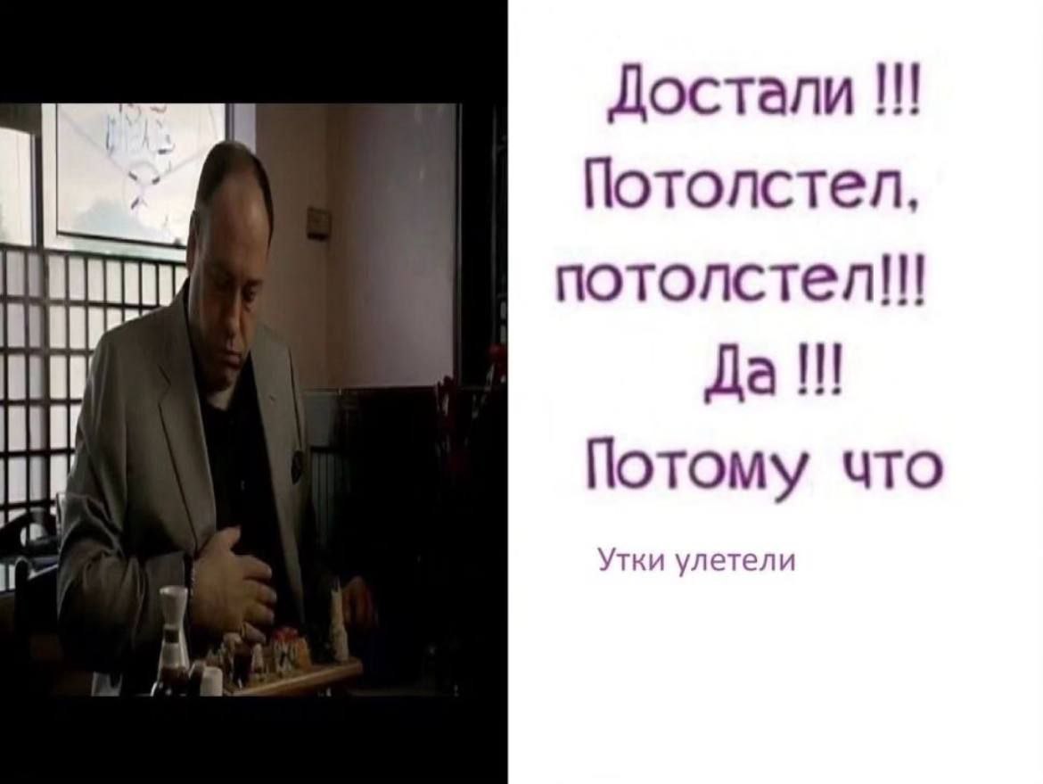 Достали Потолстел. потолстел!! Да Потому что (в Утки улетели