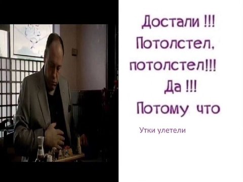 Достали Потолстел. потолстел!! Да Потому что (в Утки улетели