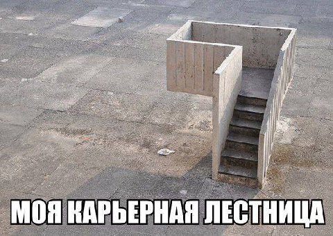 В set we ИЦА КАРЬЕРНАЯ ЛЕС