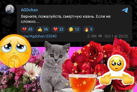 Верните, пожалуйста, смертную казнь. Если не СЛОЖНО....