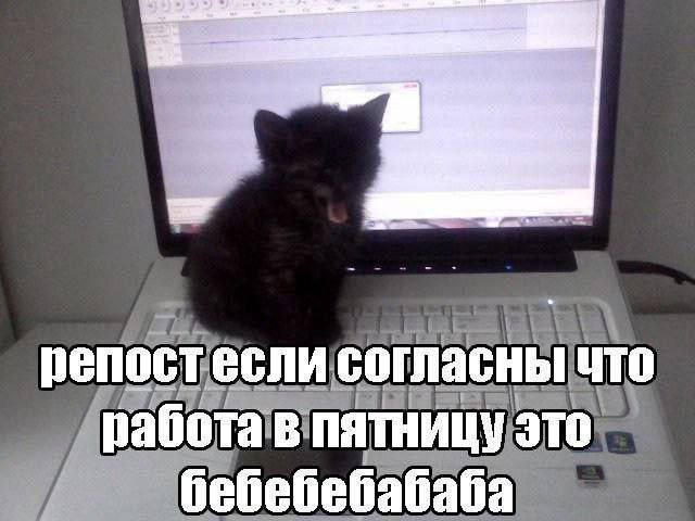 репостесли согласны что работа в пятницу это бебебебабаба