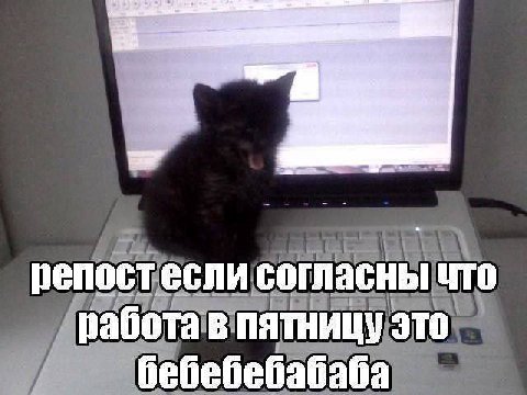 репостесли согласны что работа в пятницу это бебебебабаба