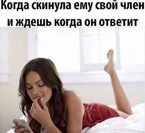 Когда скинула ему свои член и ждешь когда он ответит