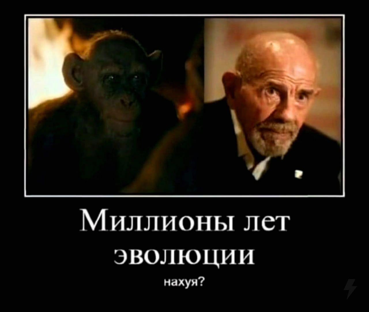 Миллионы лет ЭВОЛЮЦИИ нахуя?