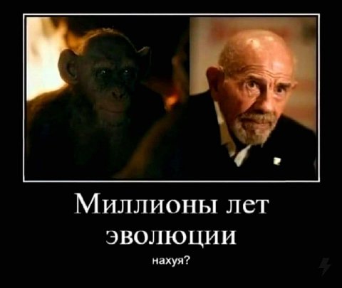 Миллионы лет ЭВОЛЮЦИИ нахуя?