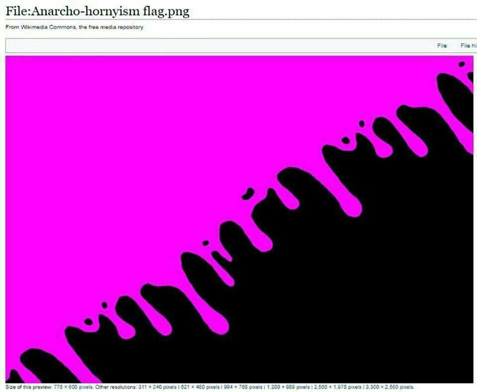 File:Anarcho-hornyism flag.png From Wikimedis Commons, the free media renesiory File File of this previews 773 Other 311 к 240 pixais $21 к 480 994 758 1.230 2.580 1,072 pels 3.300 2,560 cixeis
