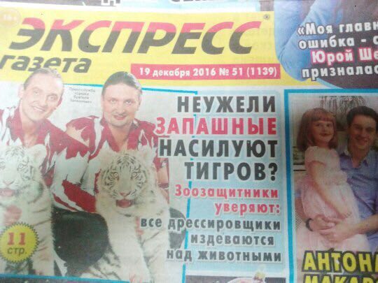 IPECC Юрой a НЕУЖЕЛИ НАСИЛУЮ ТИГРО уверя дрессировщики 11 издеваются AHTO}