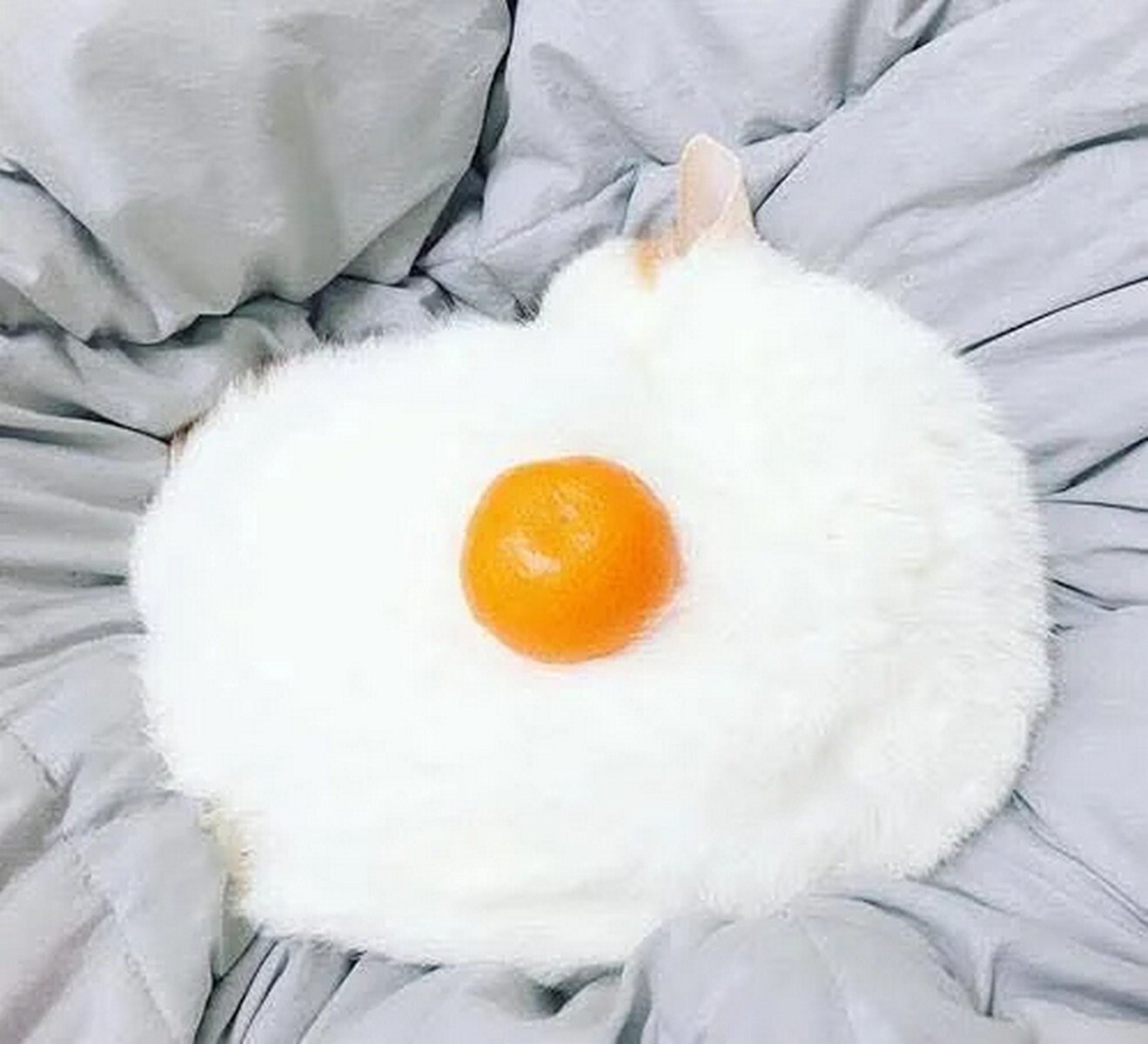 27 2 3 4 4 4 9 в
