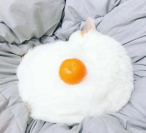 27 2 3 4 4 4 9 в