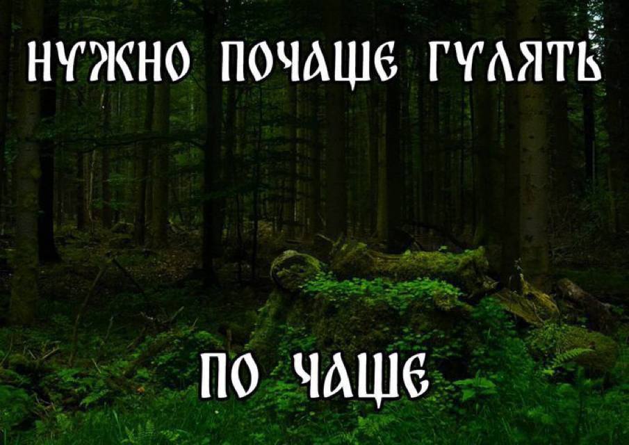 НУЖНО ПОЧАШЕ ГУАЯТЬ По ЧАШЕ
